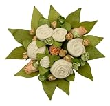 The Baby Bunch Organic Bunch Apricot 0 to 6 Months