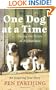 One Dog at a Time: Saving the Strays of Afghanistan