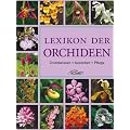 Lexikon der Orchideen: Herkunft, Wirkung, Verwendung