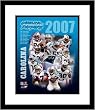 2007 Carolina Panthers Team Composite NFL Framed 8x10 Photograph - CLOSEOUT SPECIAL