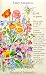 Fairy Meadow Flower Seed Mix 14 Grams