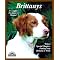 Chief's Companion Gun Dog Brittanys Recommendations