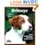 Brittanys (Barron's Complete Pet Owner's Manuals)