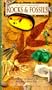 Rocks & Fossils (Nature Company Guides)