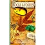 Rocks & Fossils (Nature Company Guides)