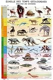 Echelle des temps g�ologiques