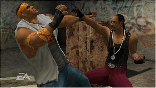 Def Jam Fight for the NY: The Takeover (PSP)