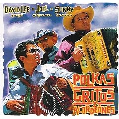 Polkas Gritos Y Acorde�nes by  David Garza 
