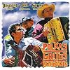 Polkas Gritos Y Acordeones