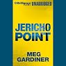 Jericho Point: An Evan Delaney Novel