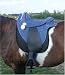 Sydney Saddleworks
