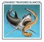 Grandes Tiburones Blancos / Great White Sharks (Biblioteca de Descubrimiento de Tiburones) (Spanish Edition)