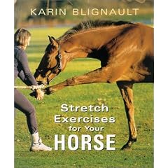 Stretch Exercises for Your Horse