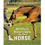 Stretch Exercises for Your Horse