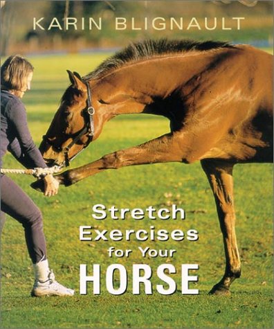 Stretch Exercises for Your Horse