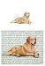 Golden Retriever (Lying Down) Glass Cutting Board