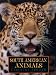 South American Animals
