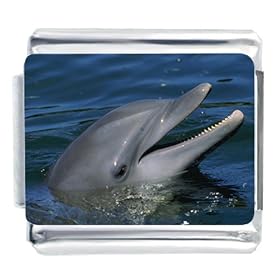 Dolphin Peeking Italian Charms