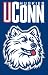 Connecticut College Applique Flags