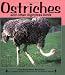 Ostriches and Other Flightless Birds (Nature Watch)