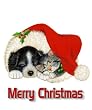 The Bat: 16x9 Widescreen TV.: greeting Card: Merry Christmas