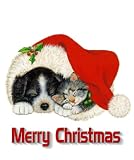 The Bat: 16X9 Widescreen TV.: Greeting Card: Merry Christmas