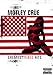 Motley Crue - Greatest Video Hits [DVD]