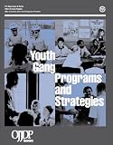 Youth Gang Programs and Strategies