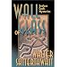 Wall of Glass: A Joshua Croft Mystery