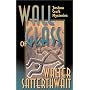 Wall of Glass: A Joshua Croft Mystery
