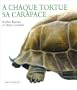 A chaque tortue sa carapace