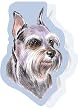 Schnauzer Sticky Notes Notebook