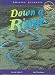 Down a River (Amazing Journeys)