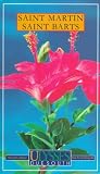 Saint Martin Saint Barts (Ulysses Due South Series)