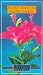 Book Saint Martin Saint Barts (Ulysses Due South Series)