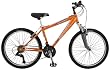 Schwinn High Timber Boys Dual Suspension Mountain Bike (24-Inch Wheels)