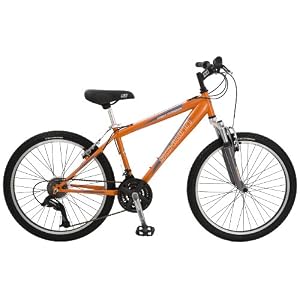 Schwinn High Timber Boy's Dual Suspension Mountain Bike (24-Inch Wheels)