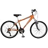 Schwinn High Timber Boy's Dual Suspension Mountain Bike (24-Inch Wheels)