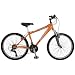 Schwinn High Timber Boy's Dual Suspension Mountain Bike (24-Inch Wheels)