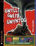 Gwyllt, gwlyb a gwyntog