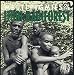 Mbuti Pygmies of Ituri Rainforest