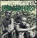 Mbuti Pygmies of Ituri Rainforest