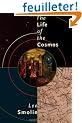 The Life of the Cosmos