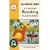 My Second Reading Flashcards: Pack 2 (Letterland at Home)