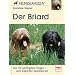 Der Briard: Die 50 wichtigsten Fragen - vom Experten beantwortet (Hunderassen)