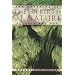 The Rebirth of Nature: The Greening of Science and God