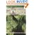 The Rebirth of Nature: The Greening of Science and God