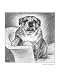 English Bulldog Animals Giclee Poster Print by Evelyn Morris Hecht, 16x20