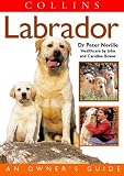 Labrador: An Owner's Guide (Dog Owners Guide)