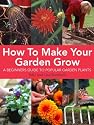 How to Make Your Garden Grow: A Beginners Guide to Popular Garden Plants